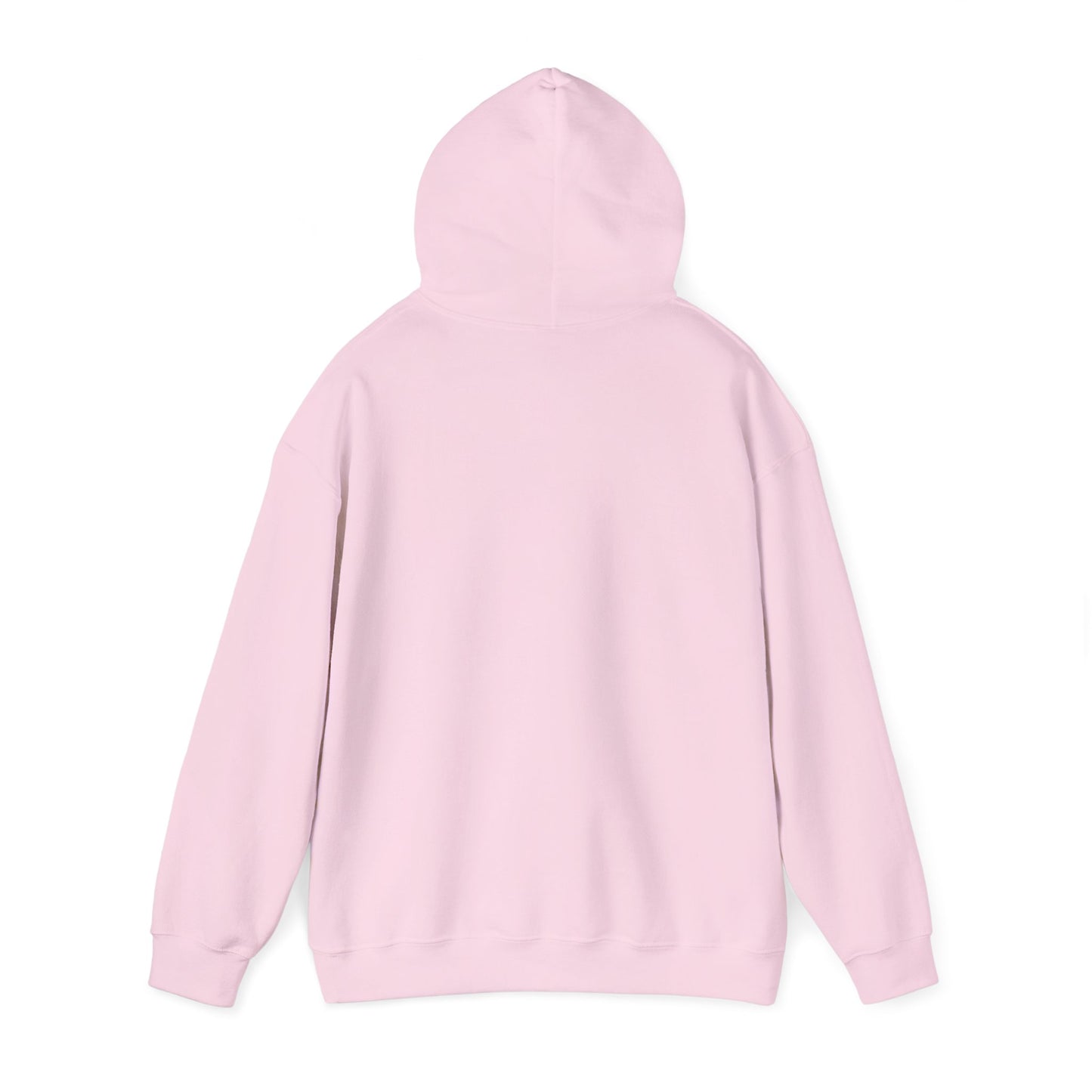 THE MENTALITY HOODIE