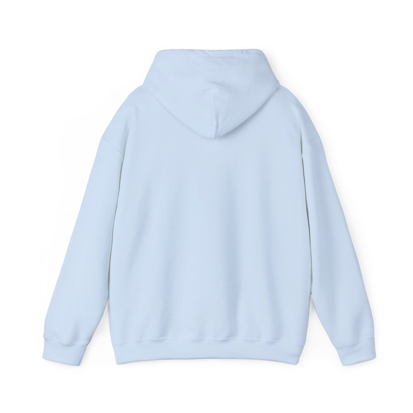 THE MENTALITY HOODIE